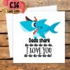 Crafty Greeting Card - Fathers Day Bundle (B36)
